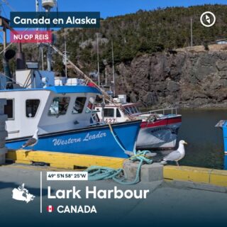 Little Port vlakbij Lark Harbor op Newfoundland waar de kreeften vissers 🦞 al volop vangsten binnen gehaald hebben.
We bezoeken hier ook het wrak van de MSC Baltic III